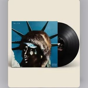 LP Don't Be Dumb Vinyl